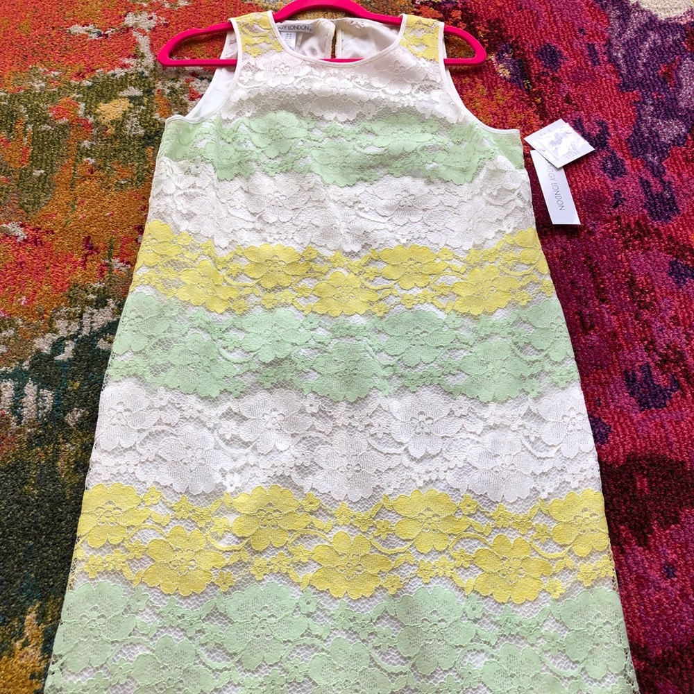 Maggy London lace striped dress!